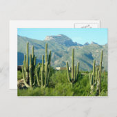 「グリーンアリゾナ」 ポストカード (正面/裏面)