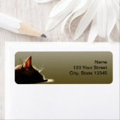 グリーンアンドグレーキャット昼寝 ラベル (インサイチュ)