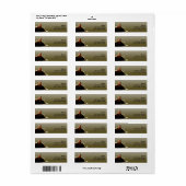 グリーンアンドグレーキャット昼寝 ラベル (フルシート)