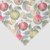 グリーンアンドレッドウォーター色のアップルフルーツ 薄葉紙 (詳細)