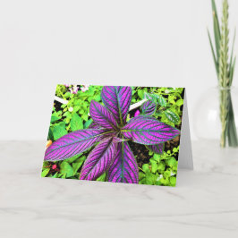 グリーンアース、カード カード