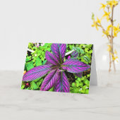 グリーンアース、カード カード (黄色い花)