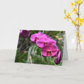 グリーンアース、カード カード (黄色い花)