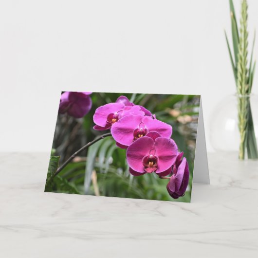 グリーンアース、カード カード (正面)