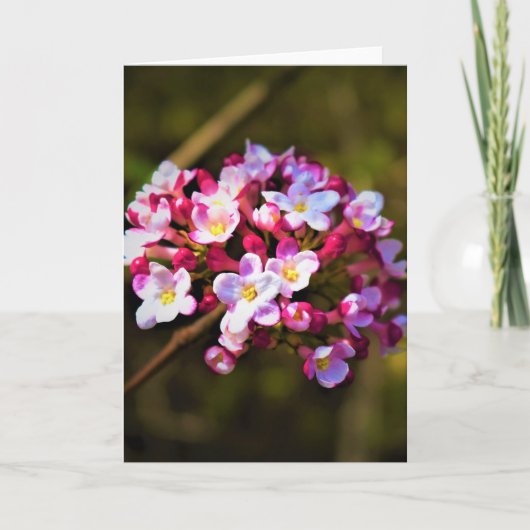 グリーンアース、カード カード (正面)