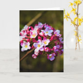 グリーンアース、カード カード (黄色い花)