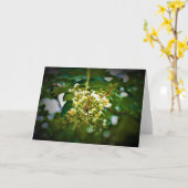 グリーンアース、カード カード (黄色い花)