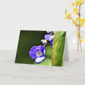 グリーンアース、カード カード (黄色い花)