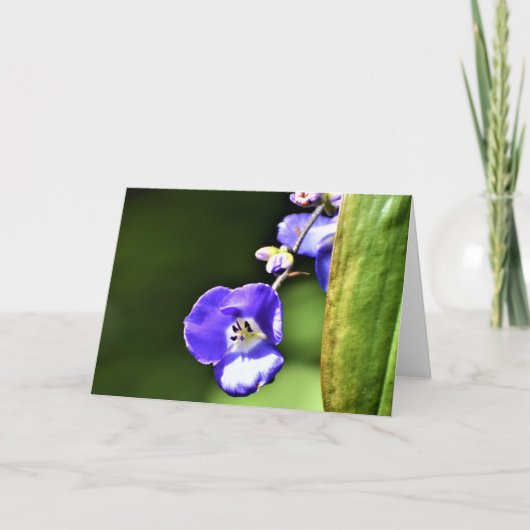 グリーンアース、カード カード (正面)