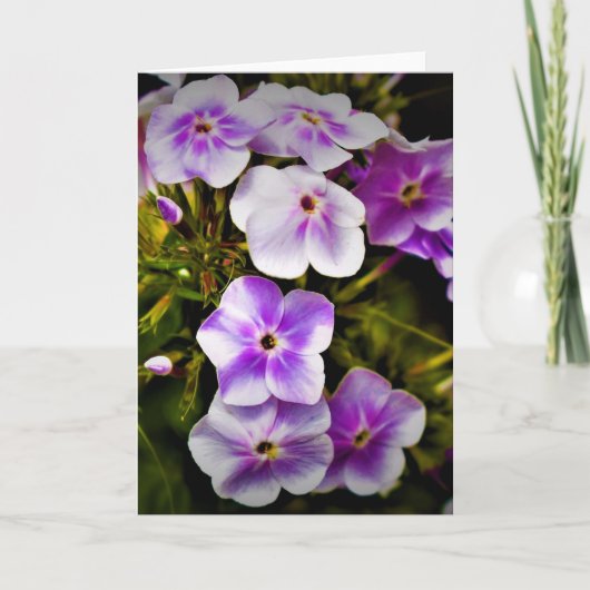 グリーンアース、カード カード (正面)