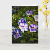 グリーンアース、カード カード (黄色い花)