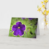 グリーンアース、カード カード (黄色い花)