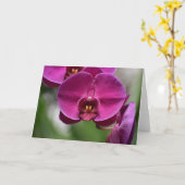 グリーンアース、カード カード (黄色い花)