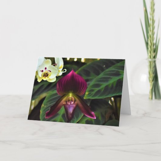 グリーンアース、カード カード (正面)