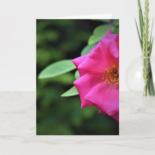 グリーンアース、カード カード (正面)