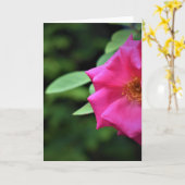 グリーンアース、カード カード (黄色い花)