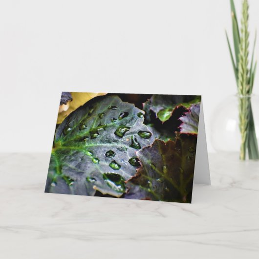 グリーンアース、カード カード (正面)