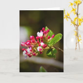 グリーンアース、カード カード (黄色い花)