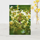 グリーンアース、カード カード (黄色い花)