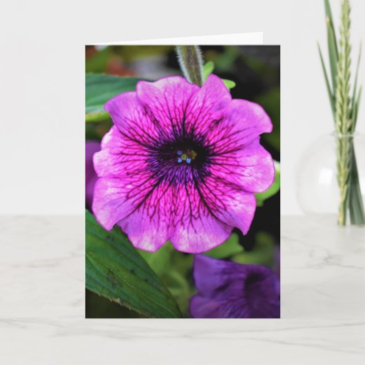 グリーンアース、カード カード (正面)