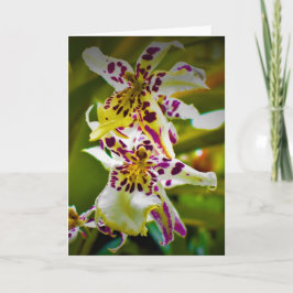 グリーンアース、カード カード