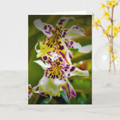 グリーンアース、カード カード (黄色い花)