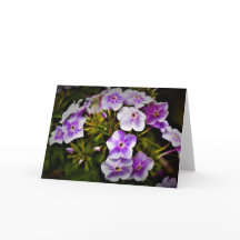 グリーンアース、カード