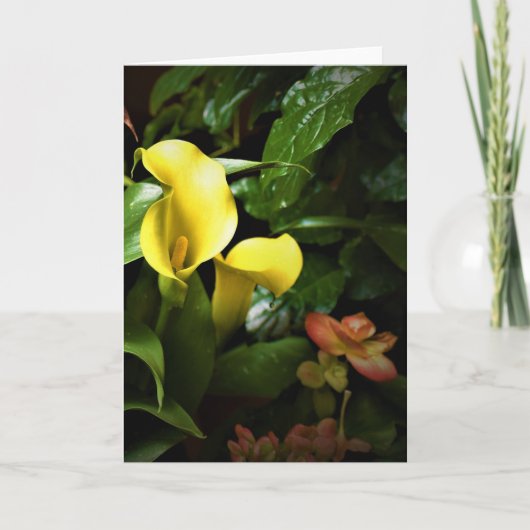 グリーンアース、カード カード (正面)