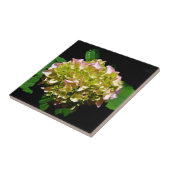 グリーンイエローピンクあじさいピンク黄色の花 タイル (側面)