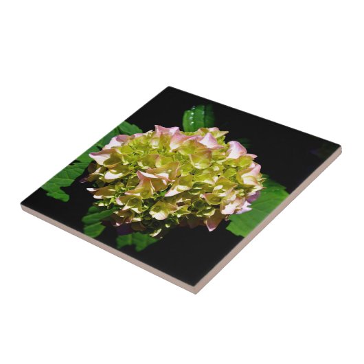 グリーンイエローピンクあじさいピンク黄色の花 タイル (側面)