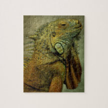 グリーンイグアナ