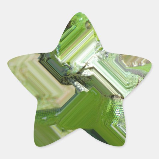 グリーンイグアナ 星シール (正面)