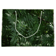 グリーンインイエローストーン