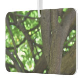 グリーンウィステリアペルゴラツリー自然撮影 カーエアーフレッシュナー (左)