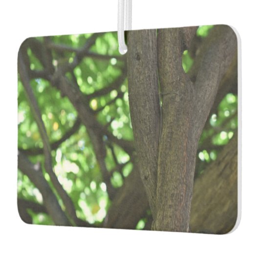 グリーンウィステリアペルゴラツリー自然撮影 カーエアーフレッシュナー (左)