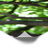 グリーンウィステリアペルゴラツリー自然撮影 ポスター (角)