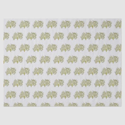 グリーンウォーター色のサンゴの木 薄葉紙 (正面)