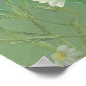 グリーンウォーター色デイジー花 ポスター (角)