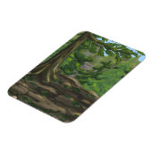 グリーンウッズ マグネット (左側)