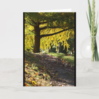 グリーンウッドの墓地、ブルックリン、NY カード