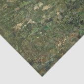 グリーンウッドランドランドスケープ(ヴィンテージアート) 薄葉紙 (詳細)