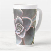 グリーンエチェベリア接写 カフェラテマグ (右アングル)