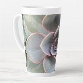 グリーンエチェベリア接写 カフェラテマグ (左アングル)