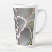 グリーンエチェベリア接写 カフェラテマグ (右)