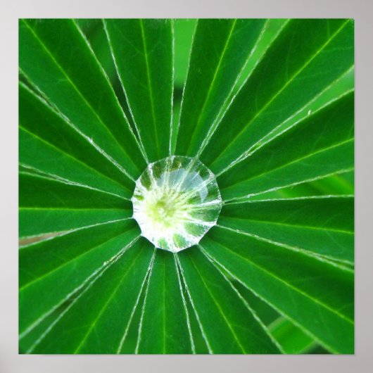 グリーンエナジーポスタープリント ポスター (正面)