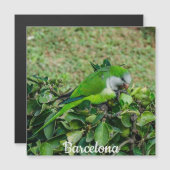 グリーンオウム磁石 (正面/裏面)