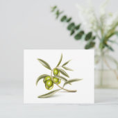 グリーンオリーブ枝 ポストカード (スタンド正面)