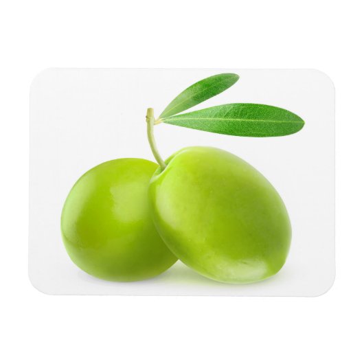 グリーンオリーブ マグネット (横)