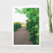 グリーンオレンジオンツリーポートレート カード (正面)