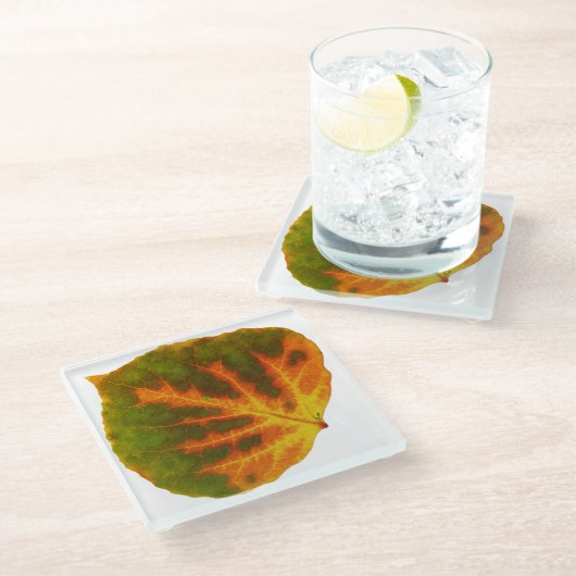 グリーンオレンジ&イエロー《植物》アスペンリーフ#1 ガラスコースター (アングル)